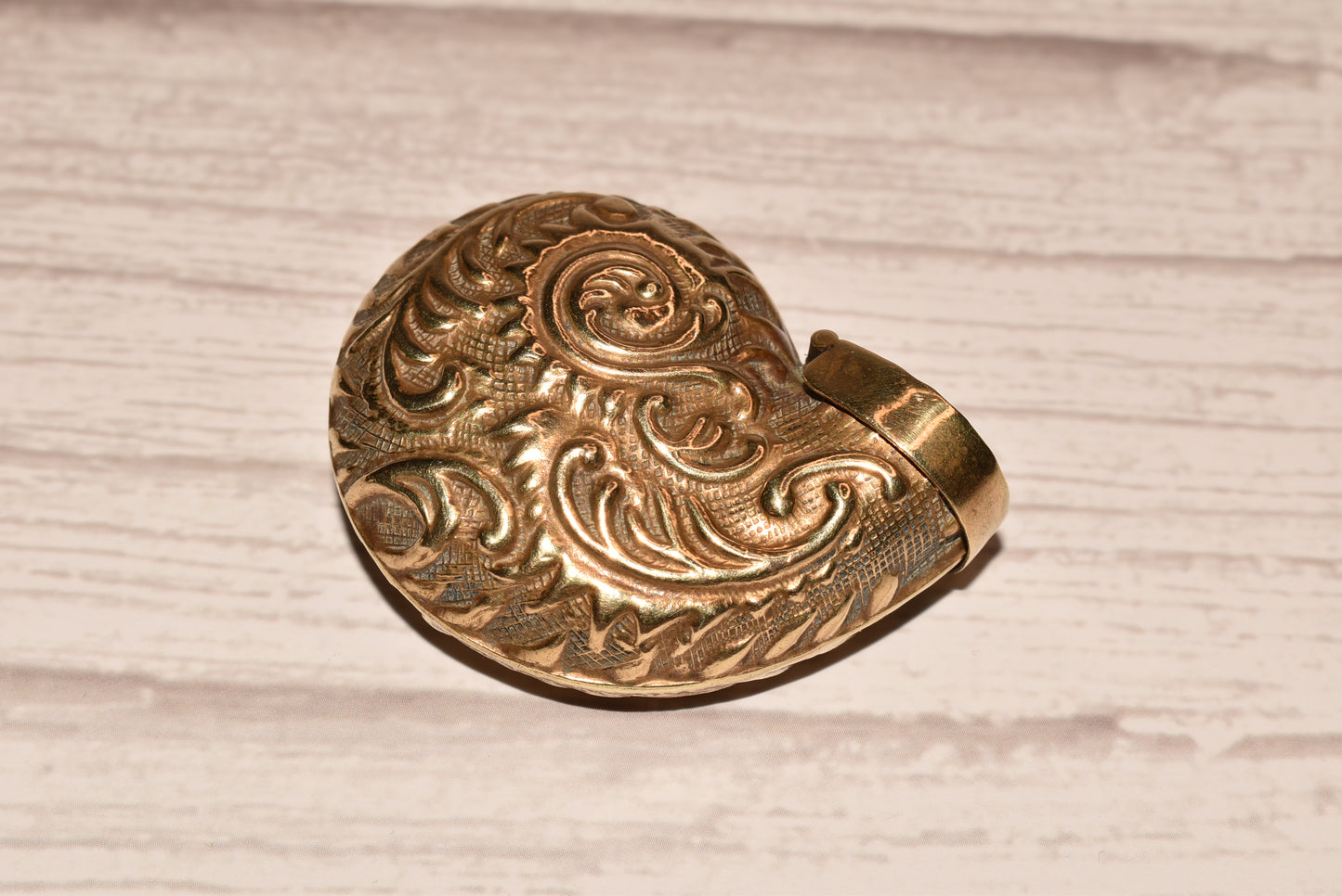 Antique Nautilus Snuff Box - Gorgeous Victorian Brass Shell Pocket Box