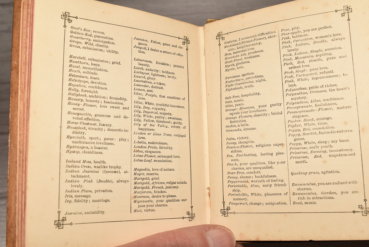 Antique Mauchline Victorian Language of Flowers Birthday Book