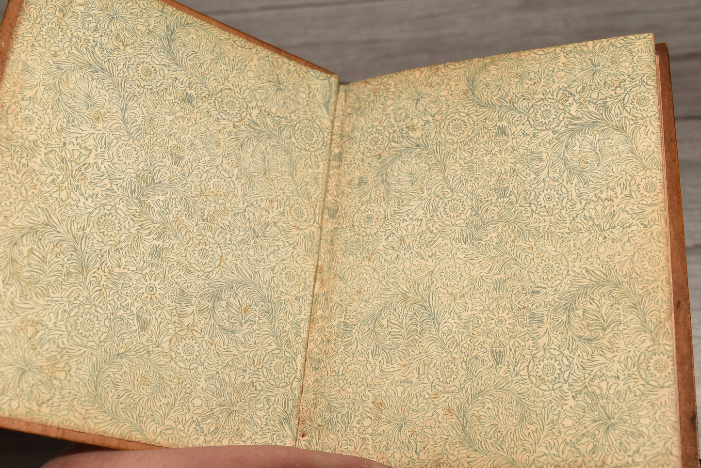 Antique Mauchline Victorian Language of Flowers Birthday Book