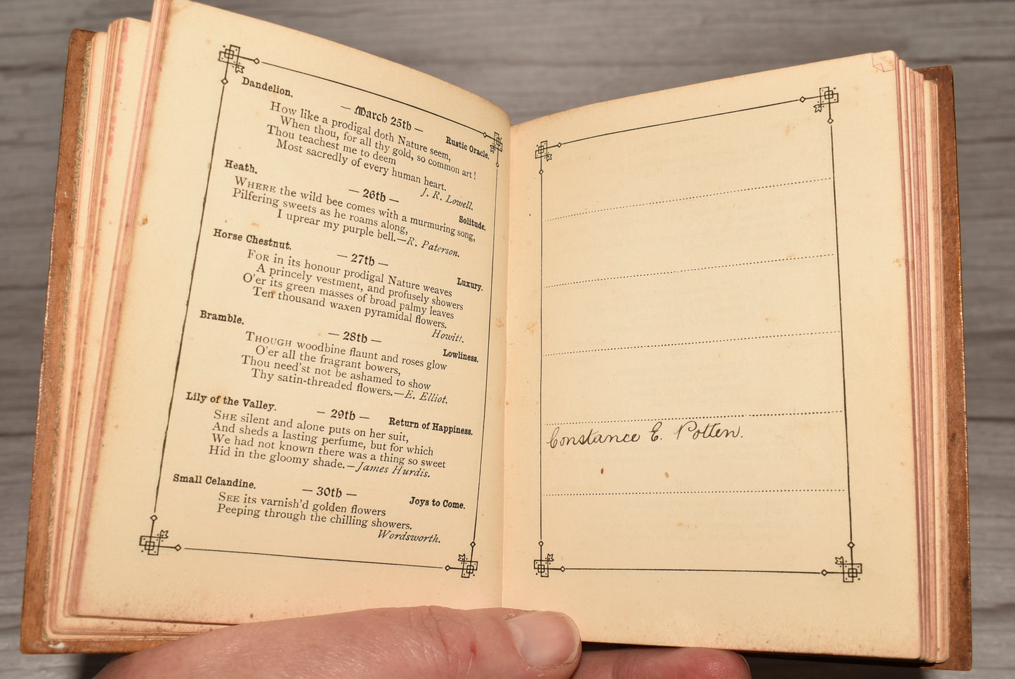 Antique Mauchline Victorian Language of Flowers Birthday Book