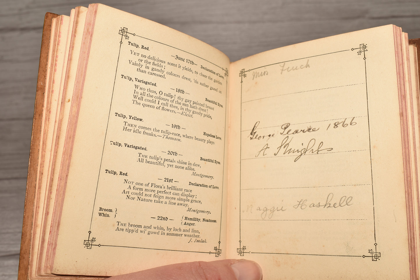 Antique Mauchline Victorian Language of Flowers Birthday Book