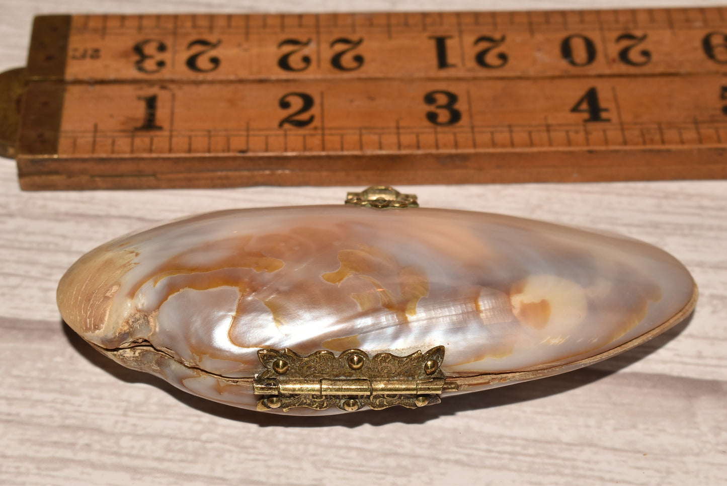 Victorian Mother of Pearl Etui Purse - Stunning Antique Lined Oyster Shell with Decorative Fixings