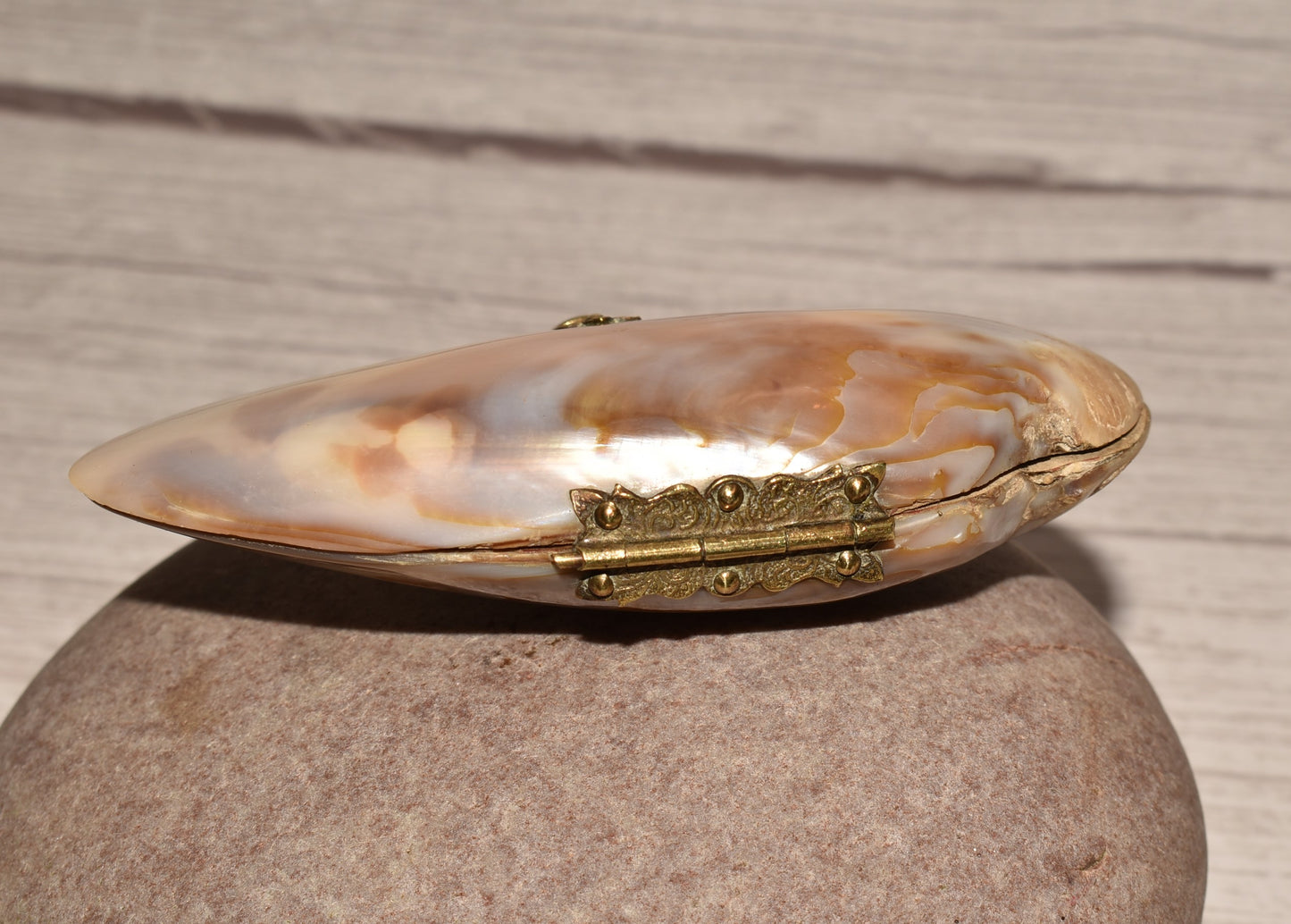 Victorian Mother of Pearl Etui Purse - Stunning Antique Lined Oyster Shell with Decorative Fixings