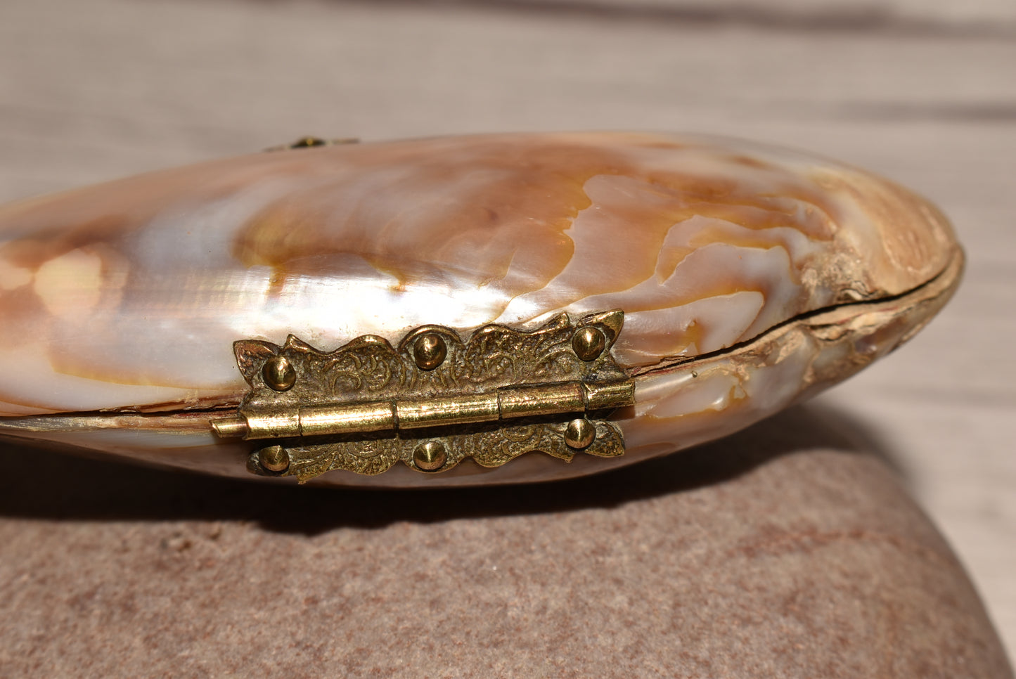 Victorian Mother of Pearl Etui Purse - Stunning Antique Lined Oyster Shell with Decorative Fixings