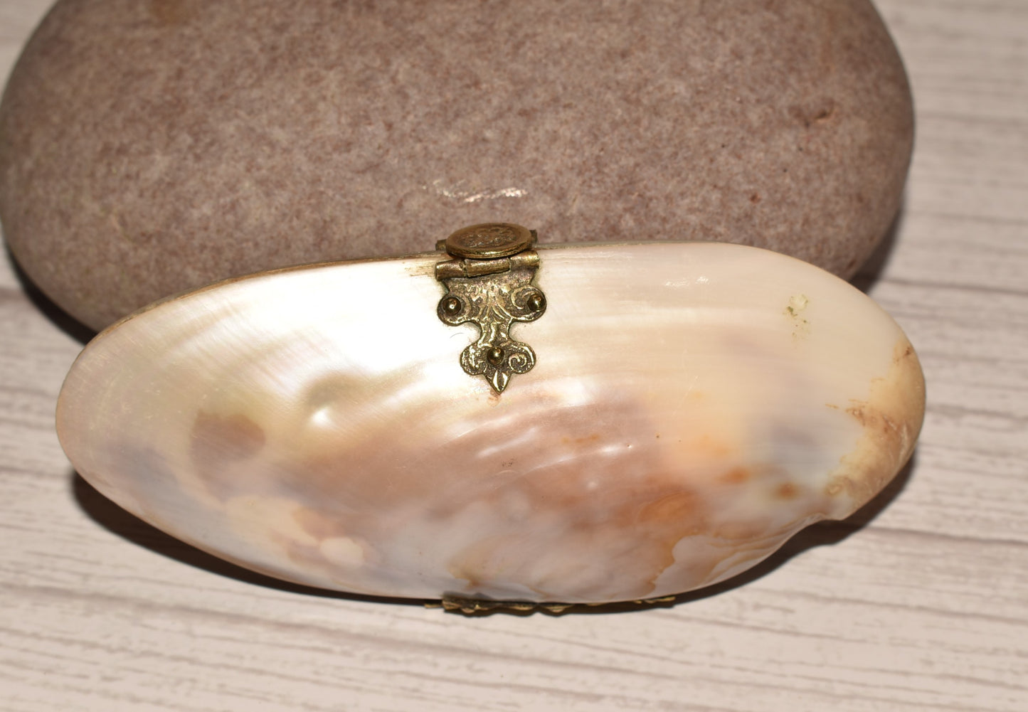 Victorian Mother of Pearl Etui Purse - Stunning Antique Lined Oyster Shell with Decorative Fixings
