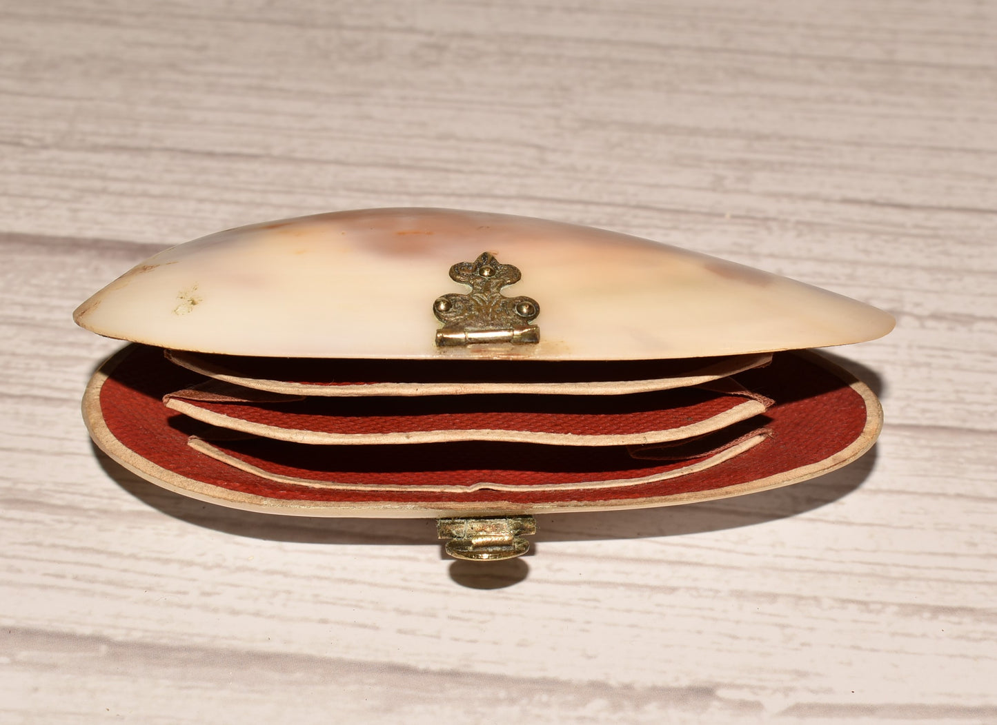Victorian Mother of Pearl Etui Purse - Stunning Antique Lined Oyster Shell with Decorative Fixings