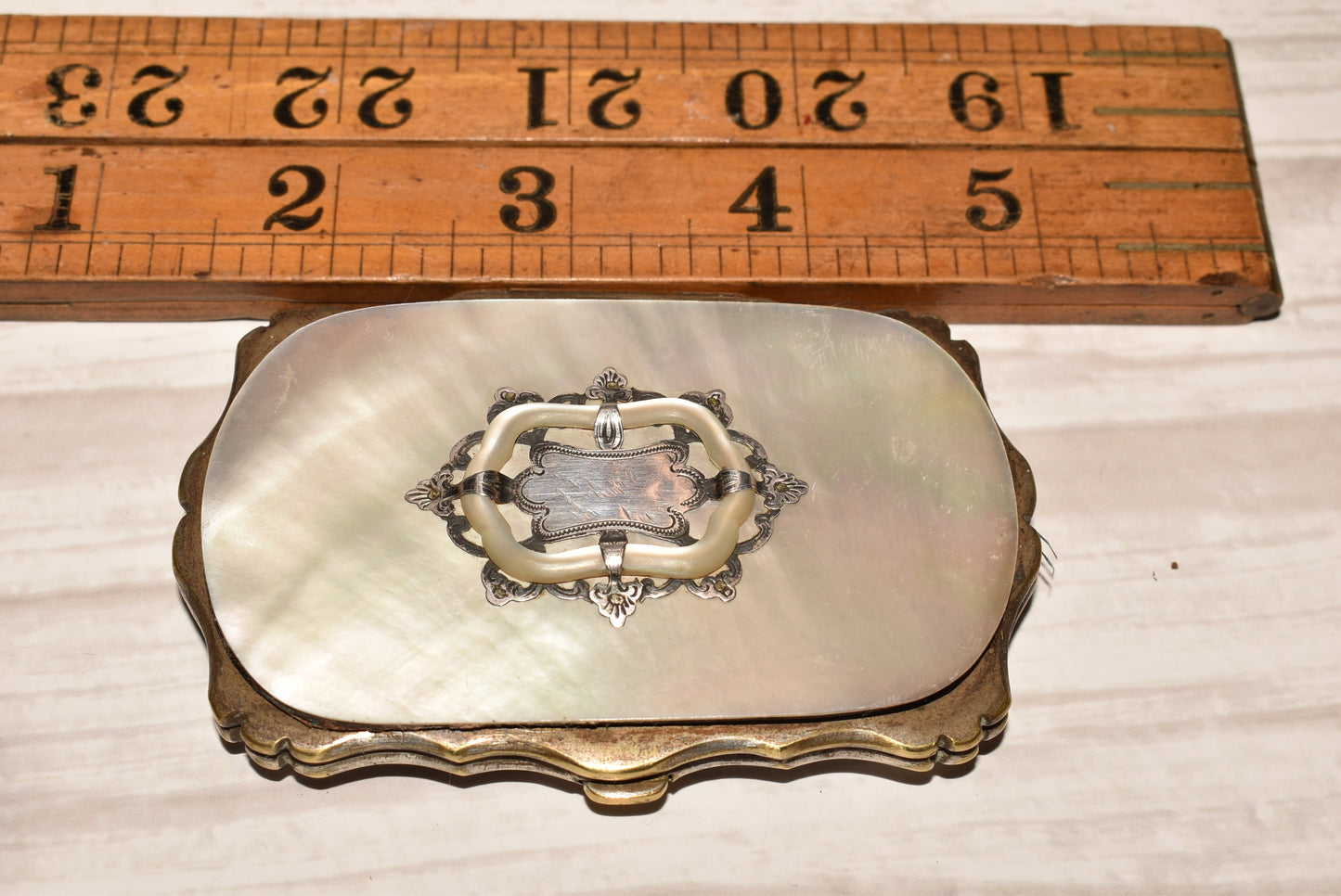 French Victorian Silver Mother of Pearl Etui Purse