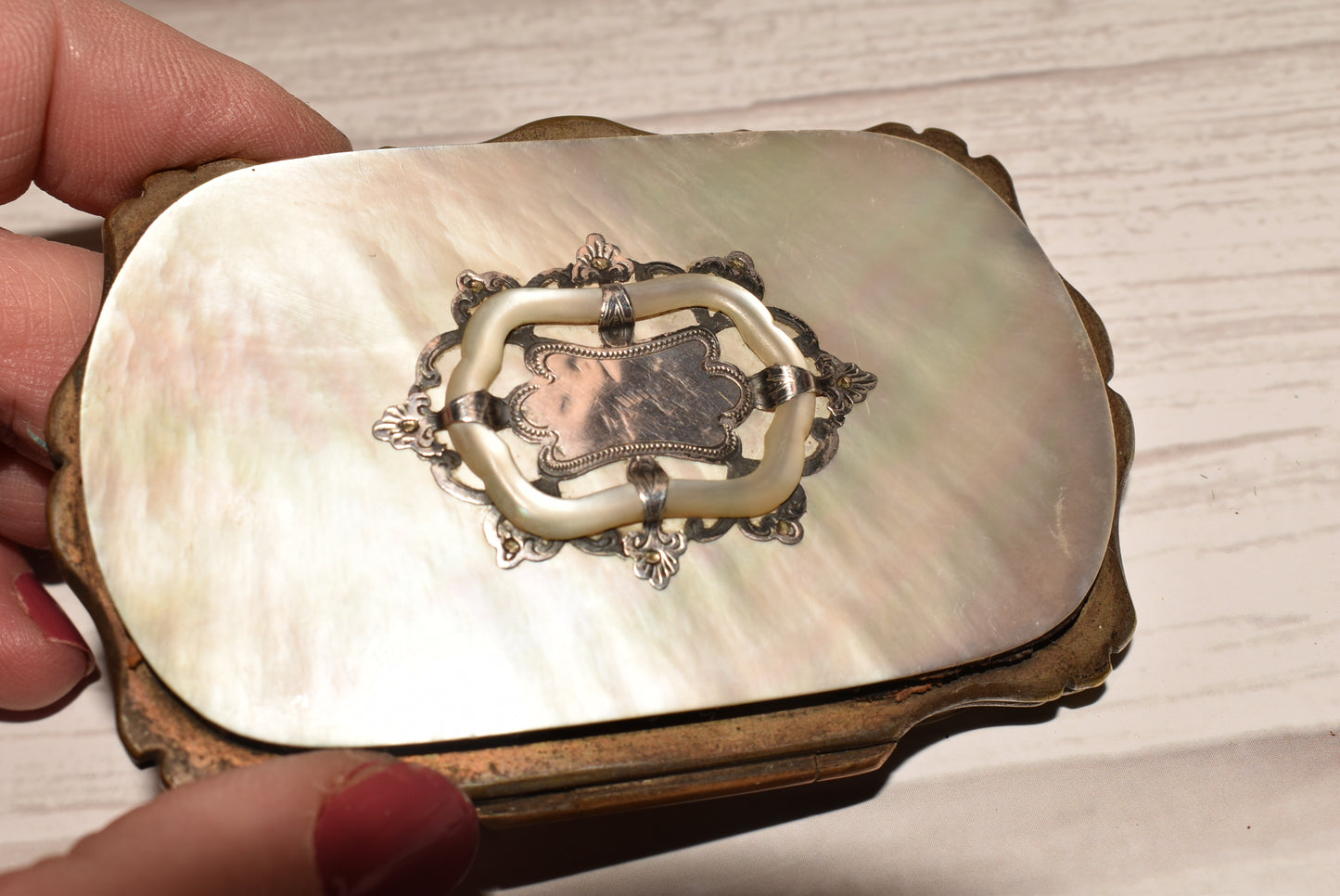French Victorian Silver Mother of Pearl Etui Purse
