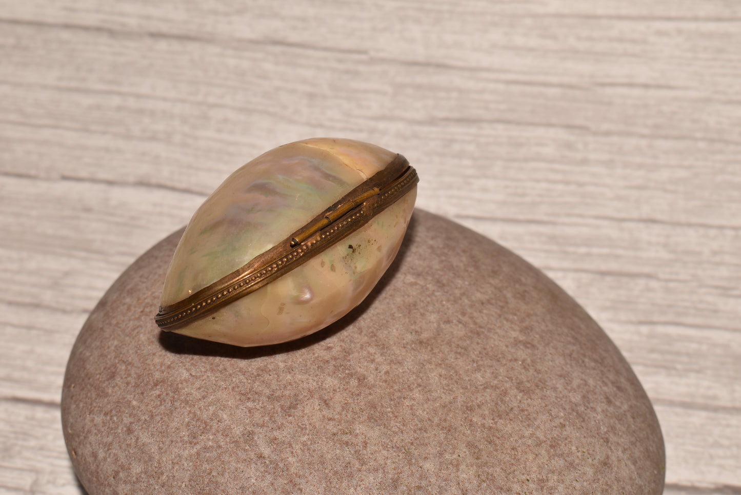 Victorian Mother of Pearl Purse - Gorgeous Grand Tour Etui Thimble Store