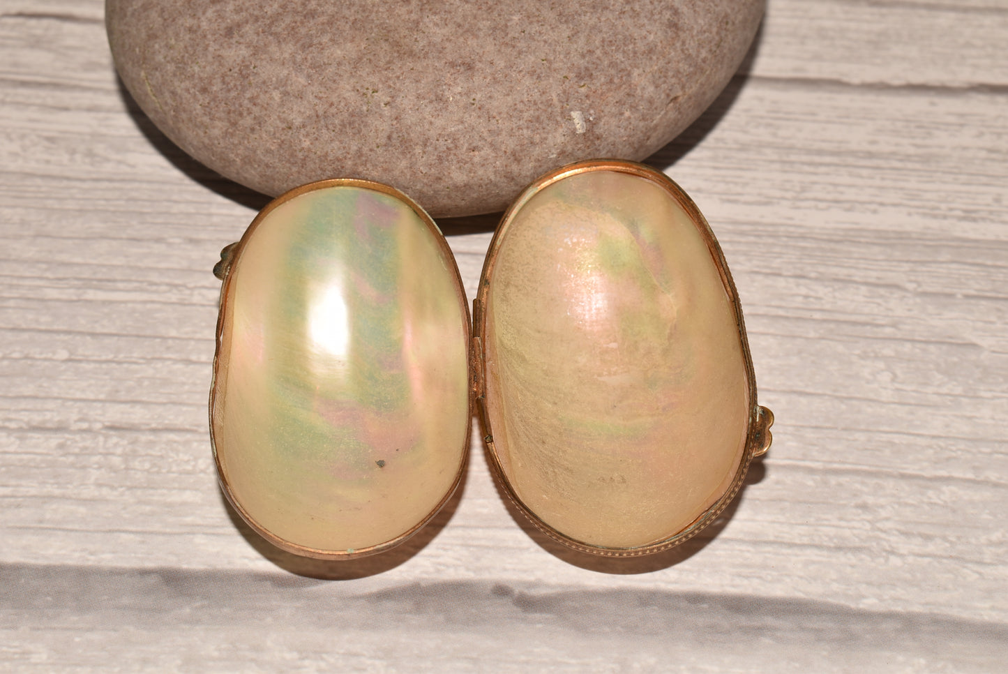 Antique Mother of Pearl Etui Purse