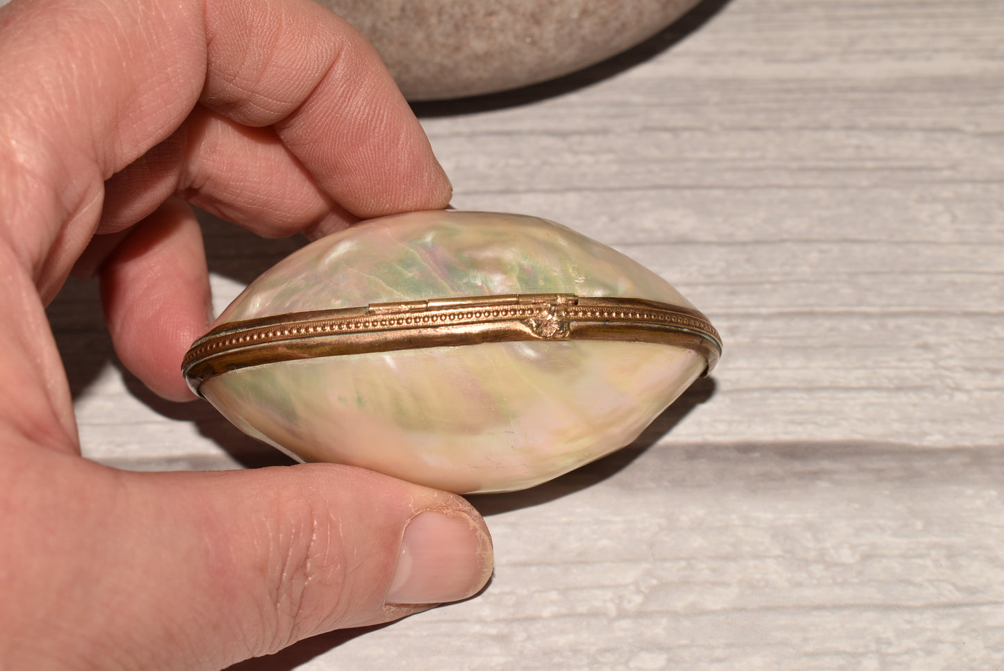 Antique Mother of Pearl Etui Purse