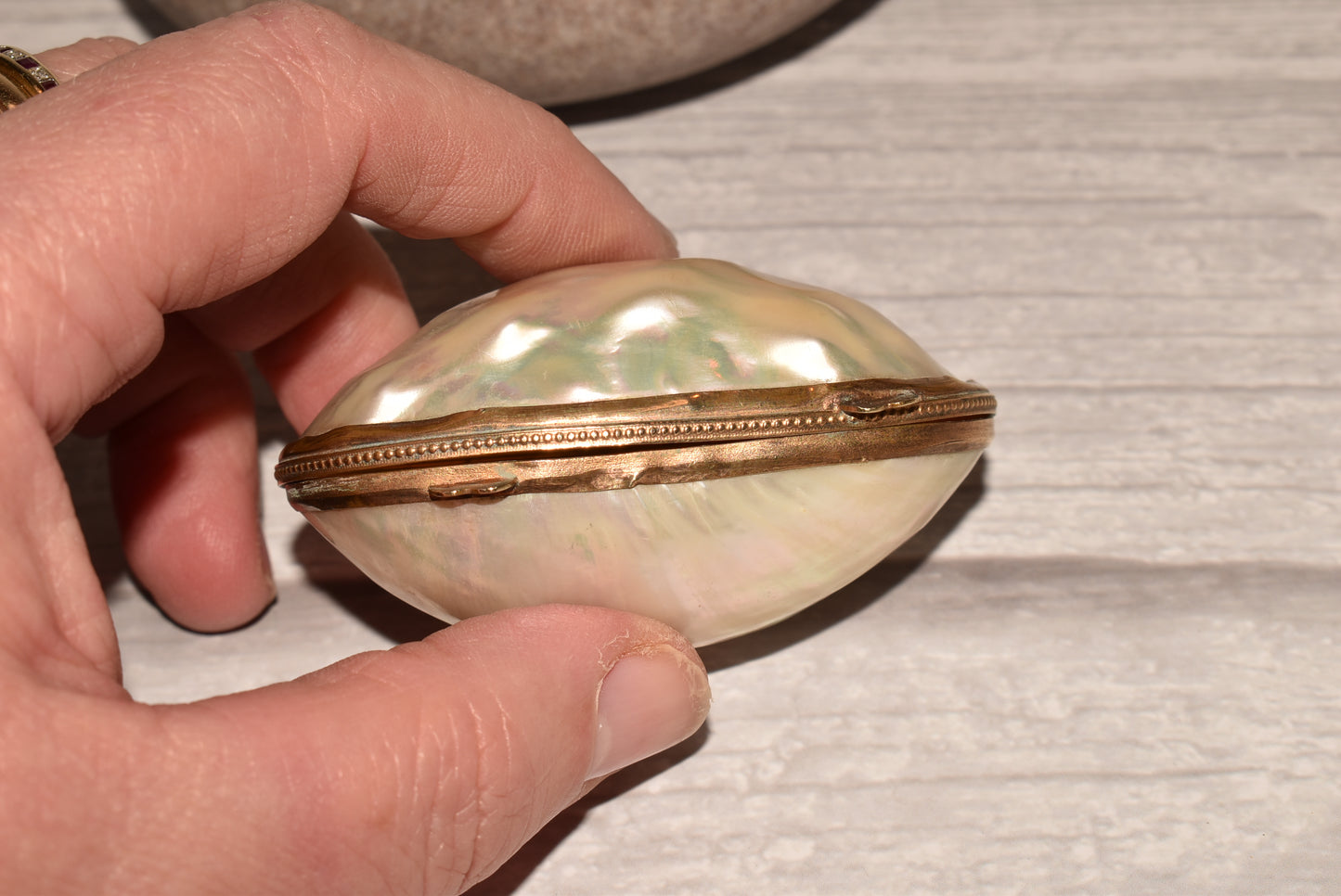 Antique Mother of Pearl Etui Purse