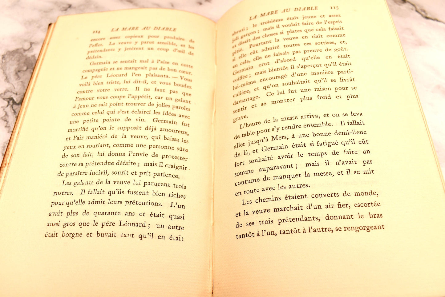 La Mare du Diable - Gorgeous Edwardian George Sand Leatherbound Novel 1908