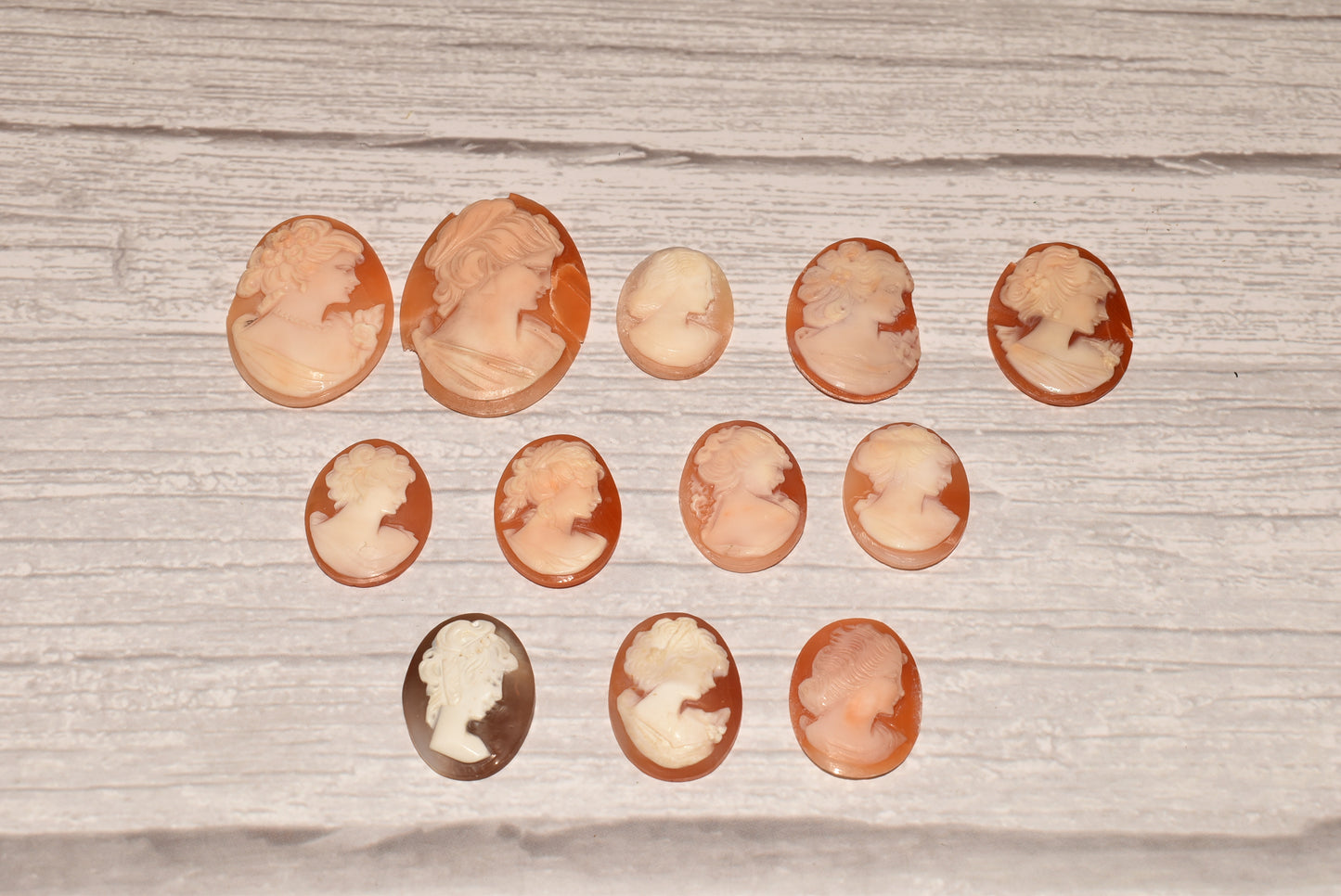 Collection of Cameos to Mount - Lovely Vintage Assorted Shell Carving for Crafting/Jewellery Making