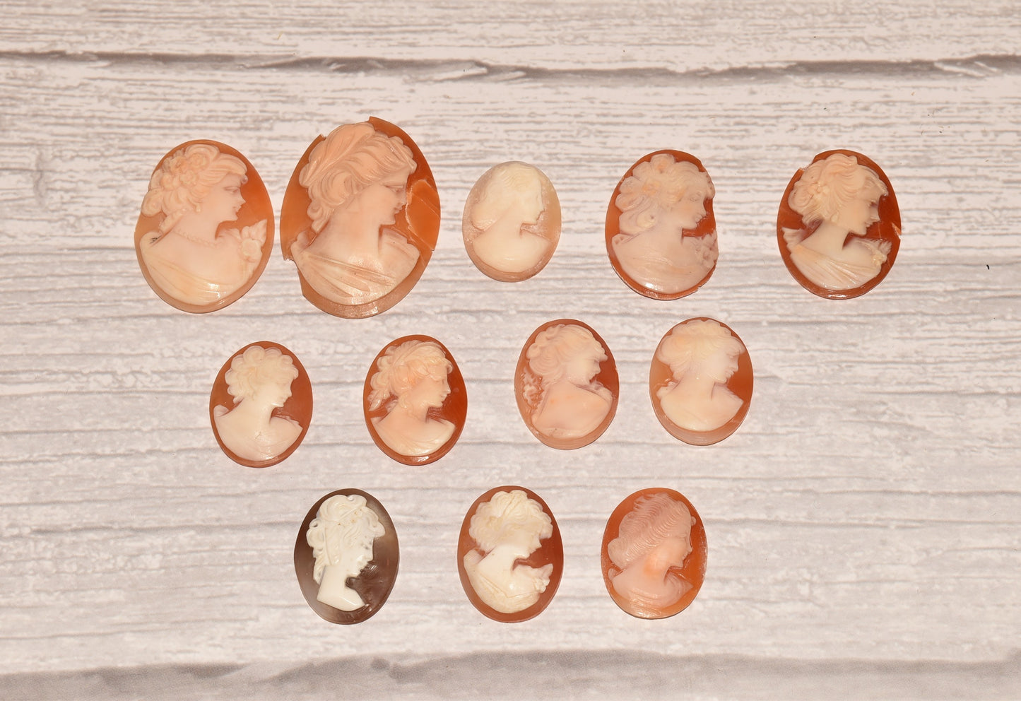 Collection of Cameos to Mount - Lovely Vintage Assorted Shell Carving for Crafting/Jewellery Making