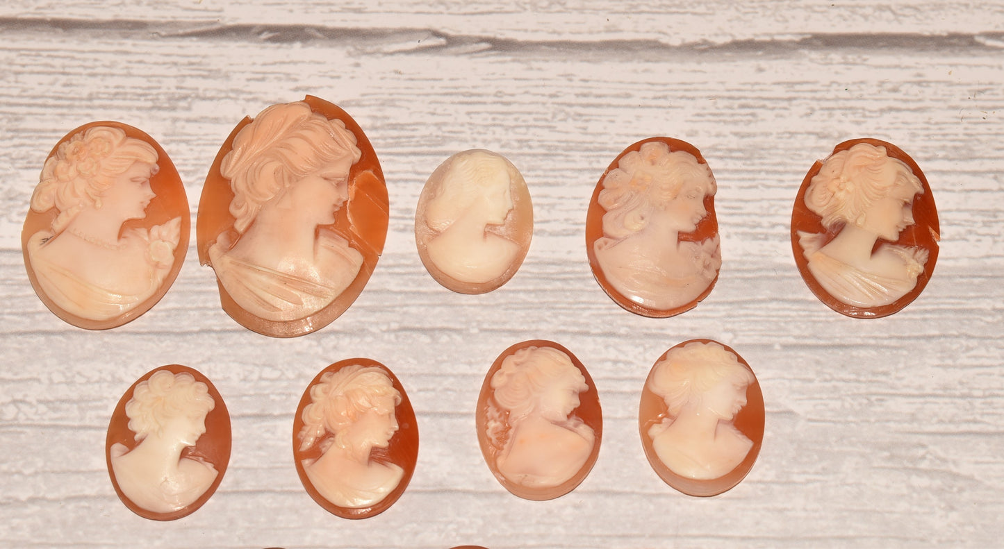 Collection of Cameos to Mount - Lovely Vintage Assorted Shell Carving for Crafting/Jewellery Making