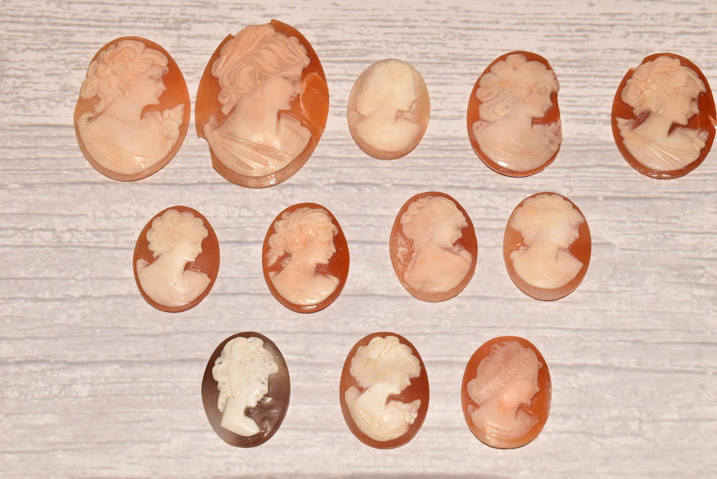 Collection of Cameos to Mount - Lovely Vintage Assorted Shell Carving for Crafting/Jewellery Making