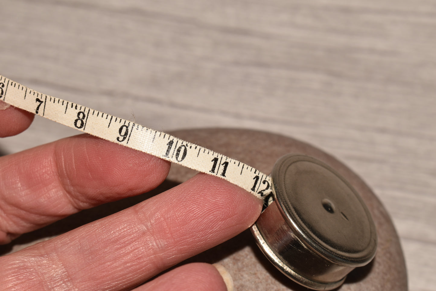 Antique Tape Measure with Cat Detail