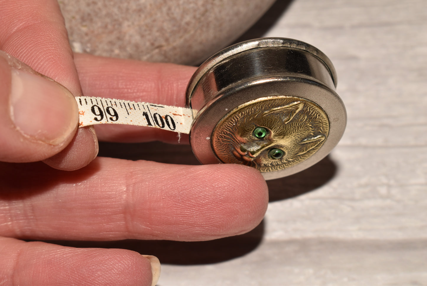 Antique Tape Measure with Cat Detail