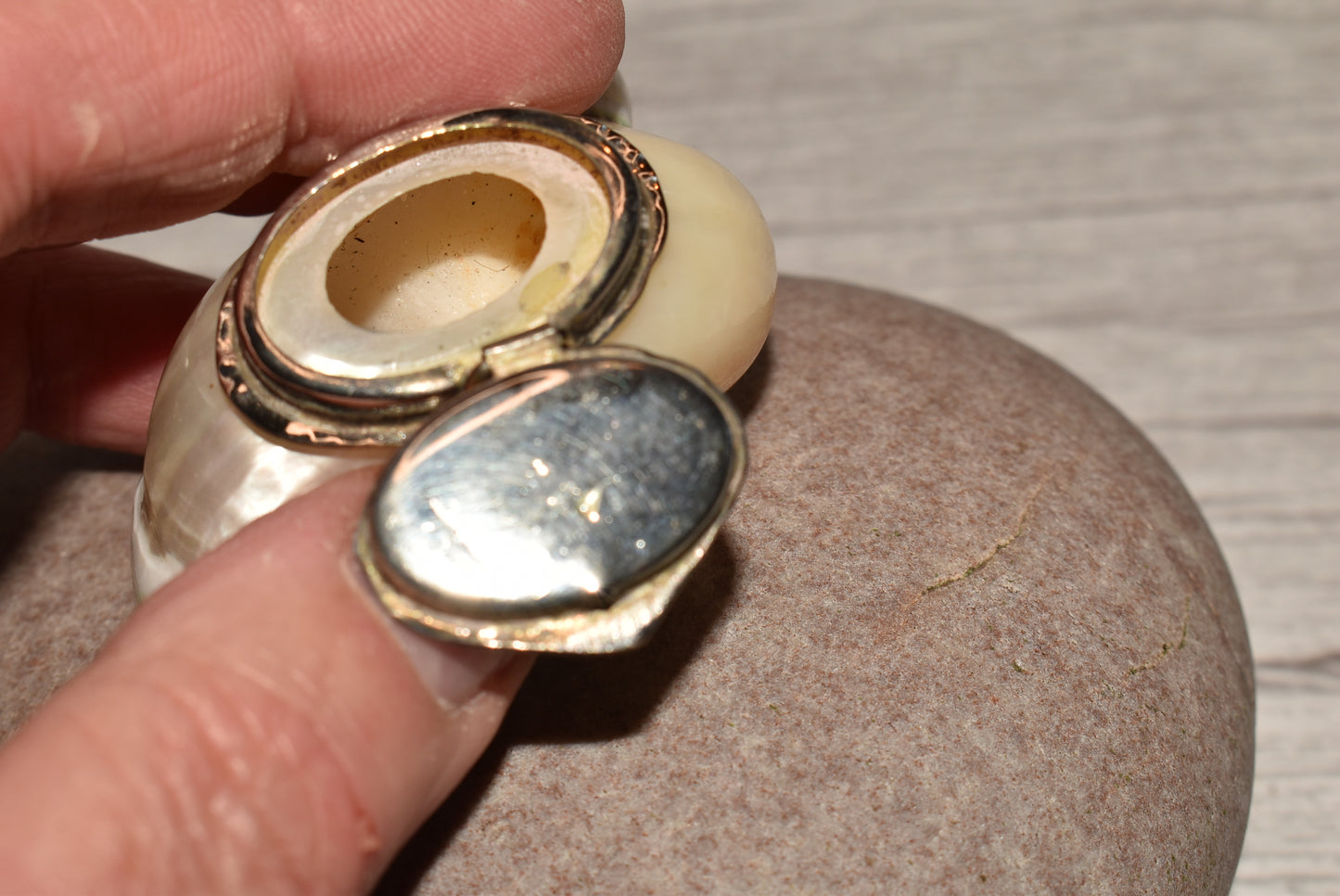 Antique Shell Snuff Box - Beautiful Whole Shell Desk Box