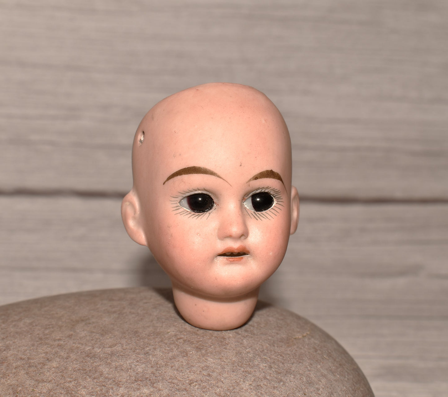 Armand Marseille Victorian Doll Head - Amazing 1894 Dated Porcelain Head