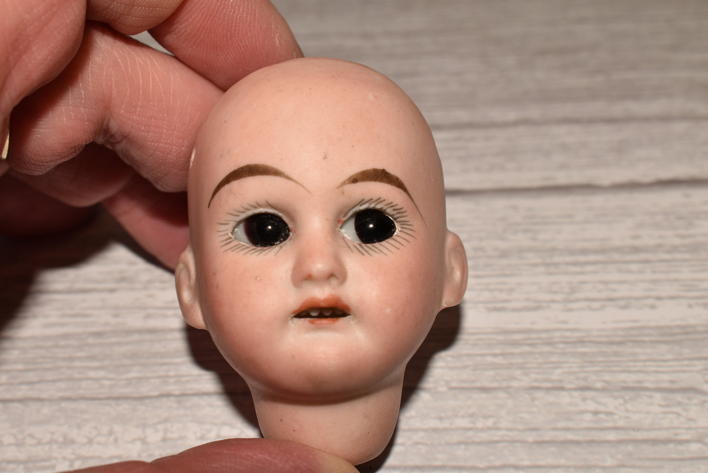 Armand Marseille Victorian Doll Head - Amazing 1894 Dated Porcelain Head