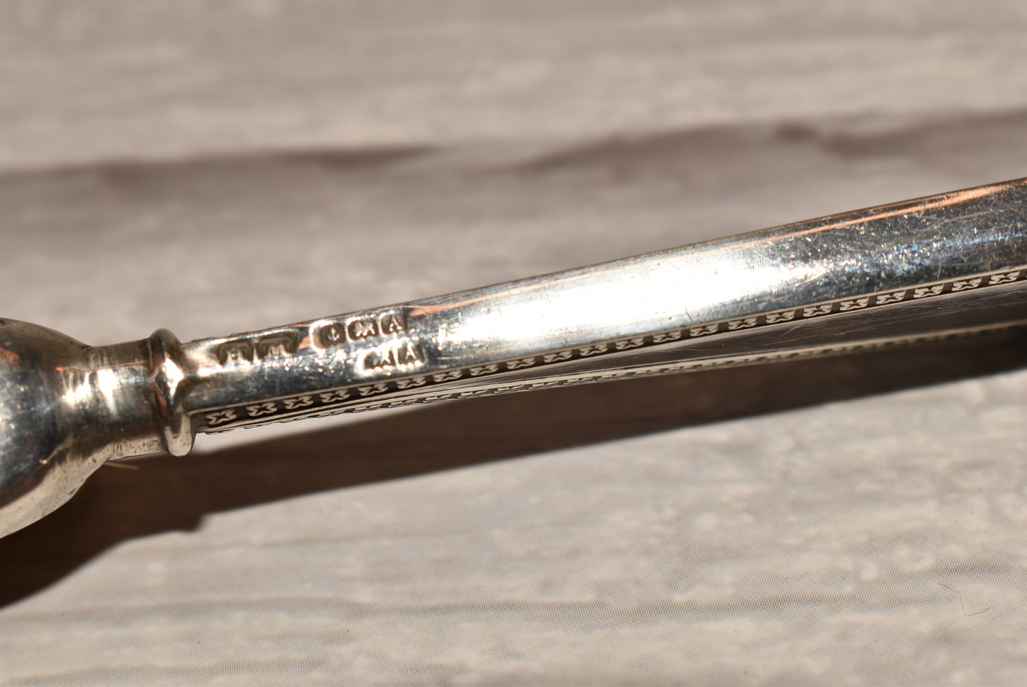 1925 Silver Moustache Brush
