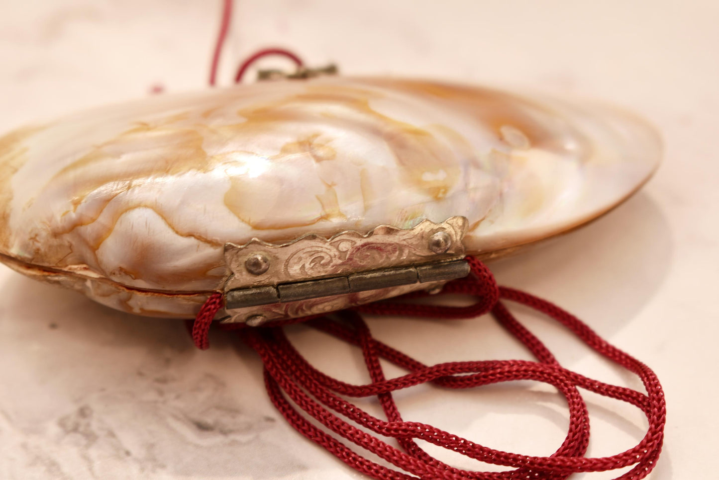 Victorian Mother of Pearl Etui Purse - Stunning Antique Lined Shell with Decorative Fixings and Hand Painted Flowers