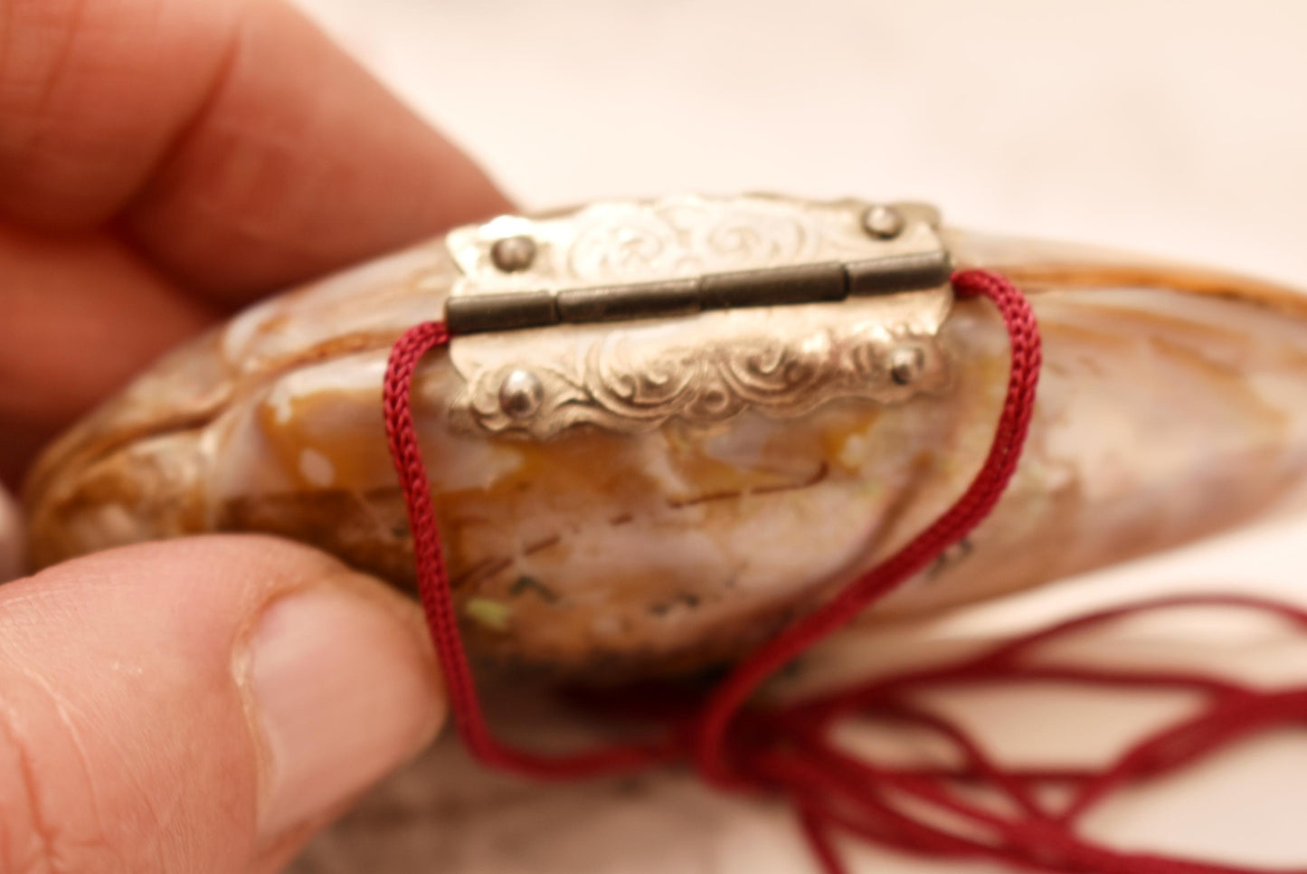 Victorian Mother of Pearl Etui Purse - Stunning Antique Lined Shell with Decorative Fixings and Hand Painted Flowers
