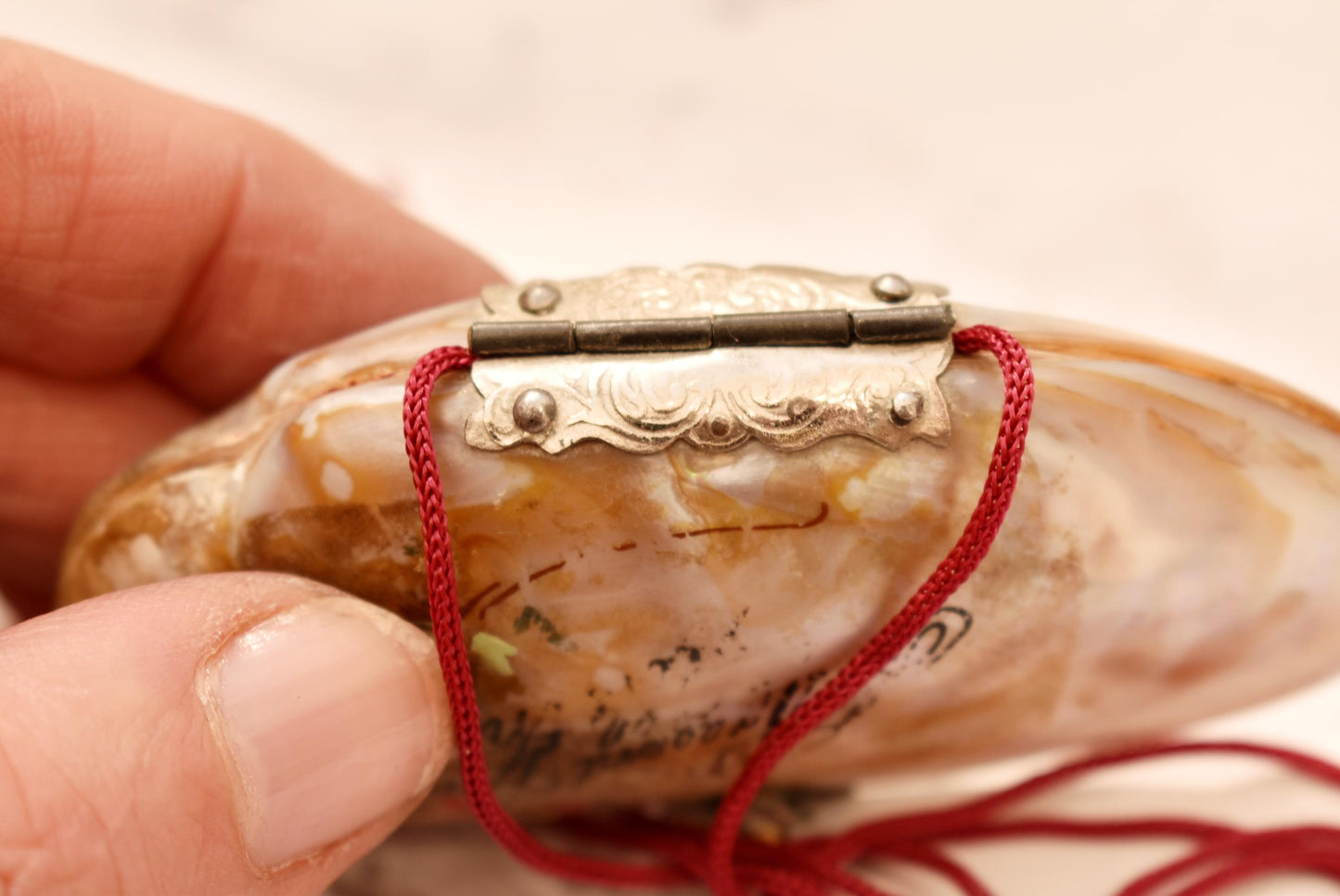 Victorian Mother of Pearl Etui Purse - Stunning Antique Lined Shell with Decorative Fixings and Hand Painted Flowers