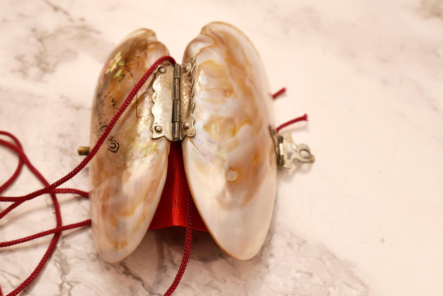 Victorian Mother of Pearl Etui Purse - Stunning Antique Lined Shell with Decorative Fixings and Hand Painted Flowers