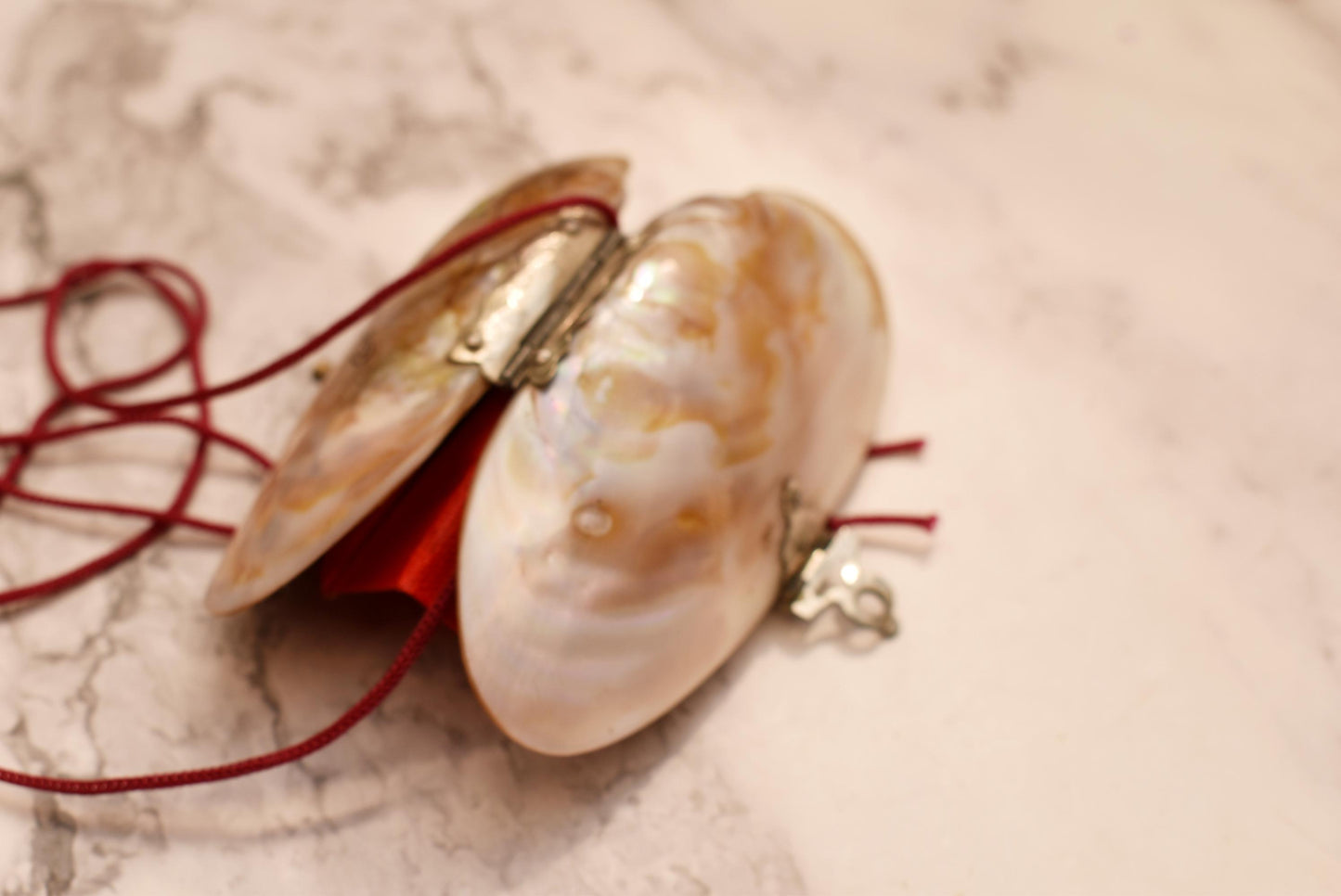 Victorian Mother of Pearl Etui Purse - Stunning Antique Lined Shell with Decorative Fixings and Hand Painted Flowers