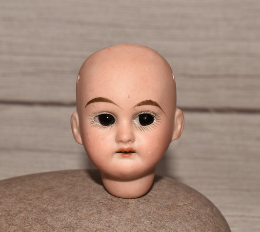 Armand Marseille Victorian Doll Head - Amazing 1894 Dated Porcelain Head